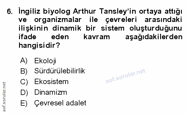 Soru 6