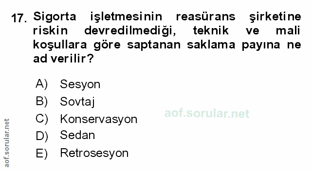 Soru 17