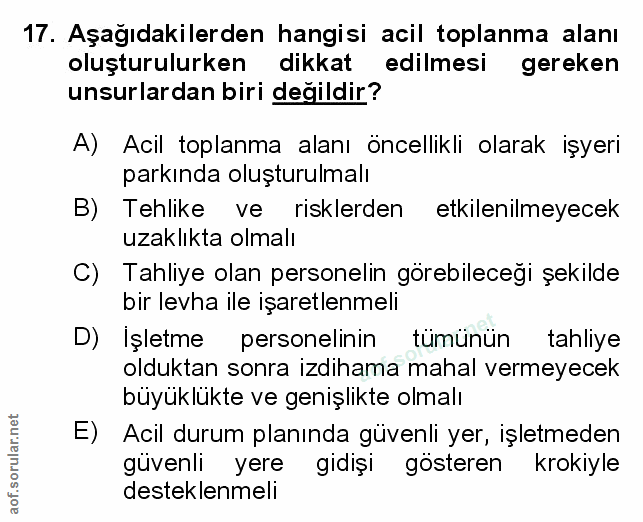Soru 17