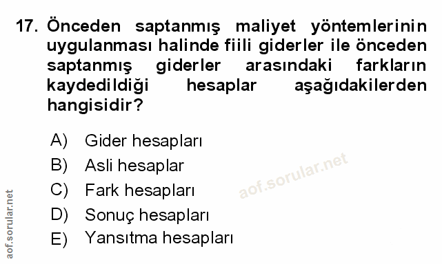 Soru 17