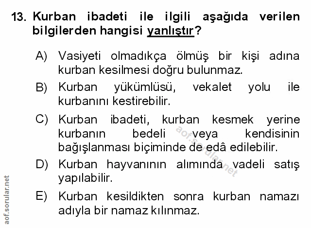 Soru 13