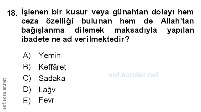 Soru 18