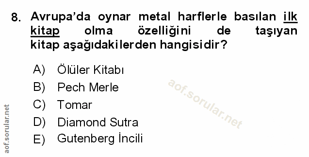 Soru 8