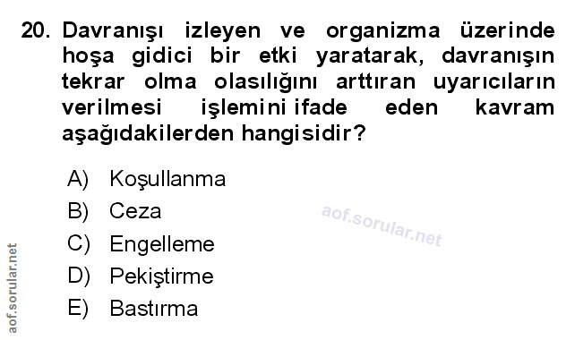 Soru 20