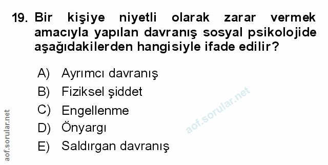 Soru 19
