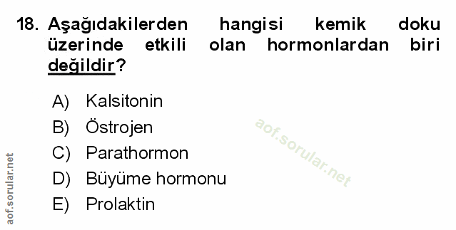 Soru 18