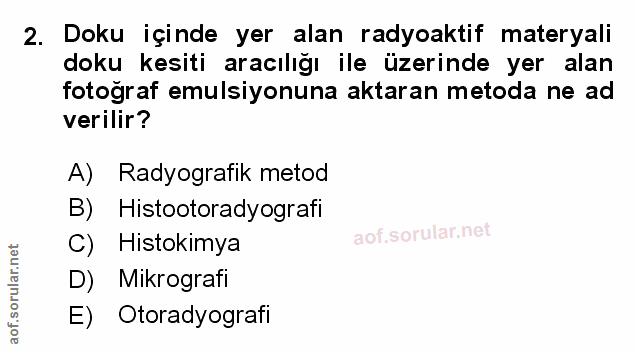 Soru 2