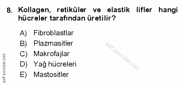 Soru 8