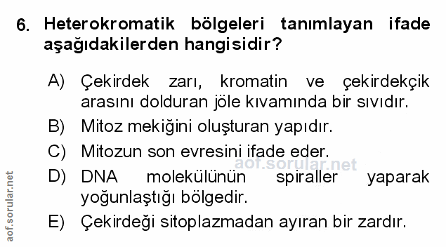 Soru 6