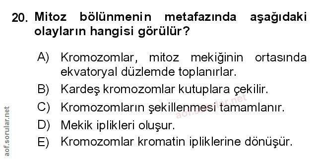 Soru 20