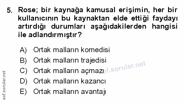 Soru 5
