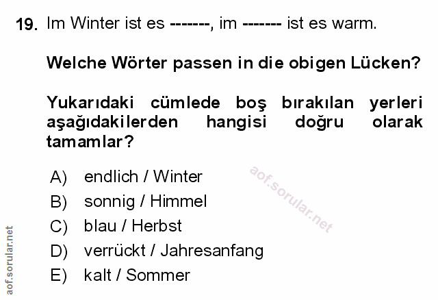 Soru 19