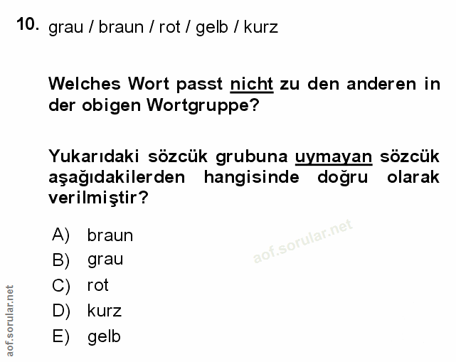 Soru 10