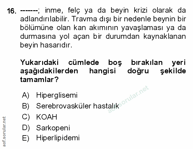 Soru 16