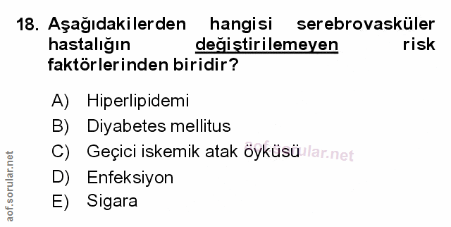Soru 18