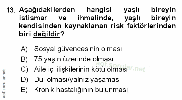 Soru 13