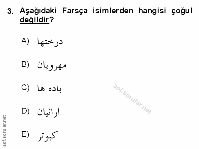 Soru 3