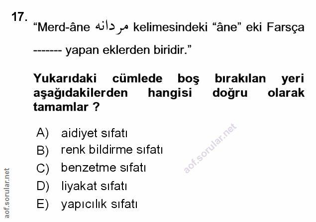 Soru 17