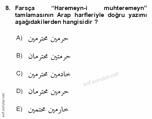 Soru 8
