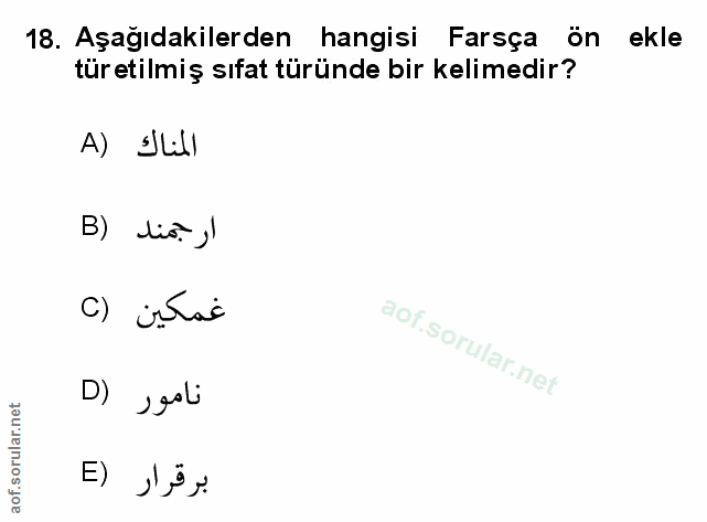 Soru 18
