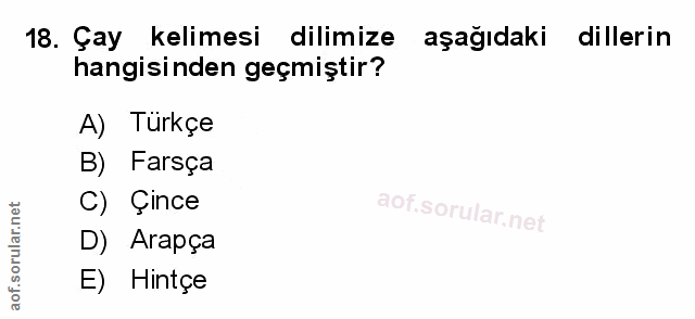 Soru 18
