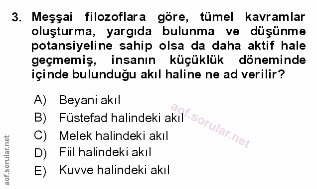 Soru 3