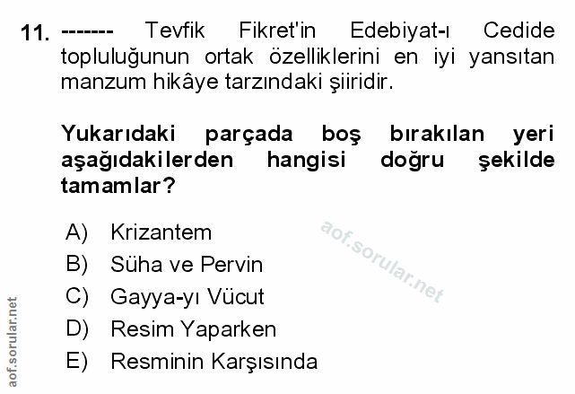 Soru 11