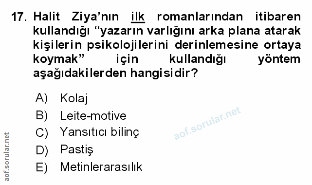 Soru 17