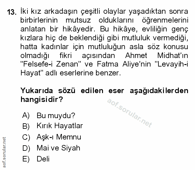 Soru 13