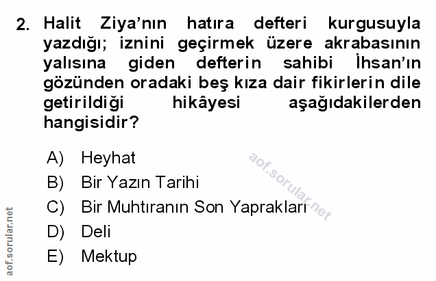 Soru 2