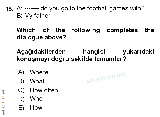 Soru 18