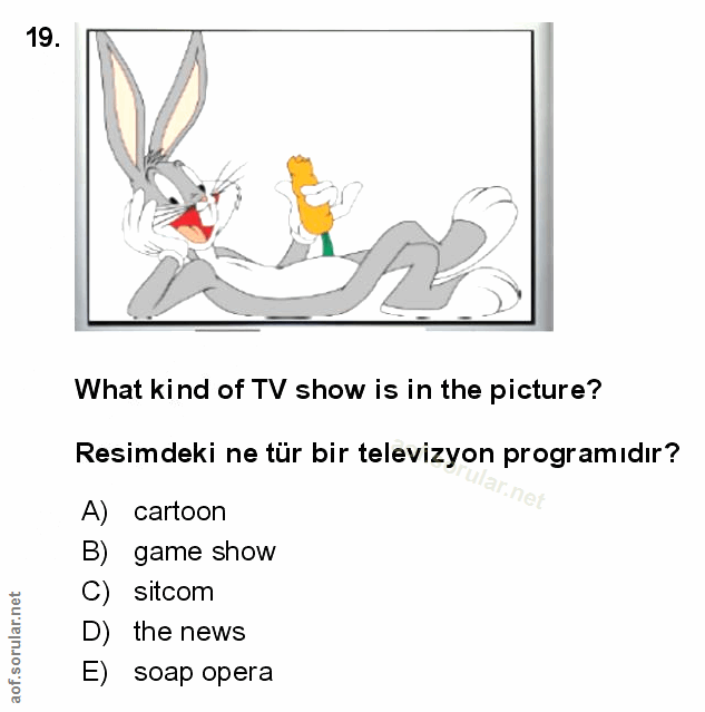Soru 19