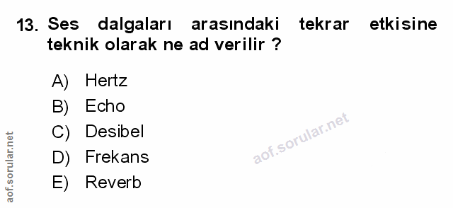 Soru 13