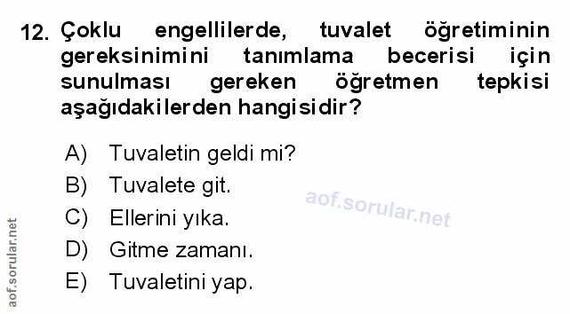 Soru 12
