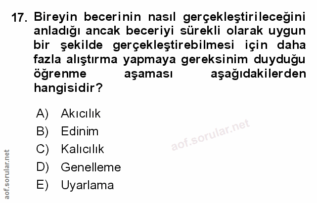 Soru 17