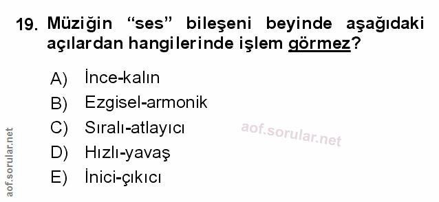 Soru 19