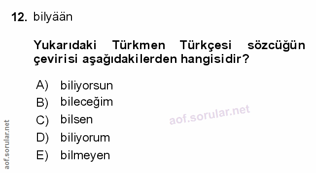 Soru 12