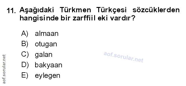 Soru 11