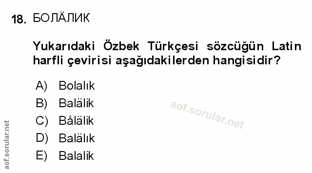 Soru 18