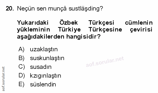 Soru 20
