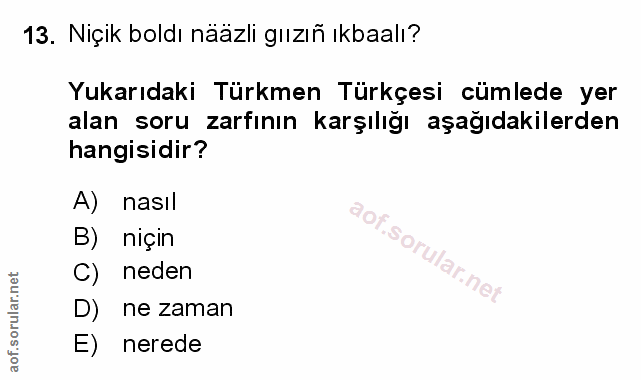 Soru 13
