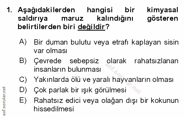 Soru 1