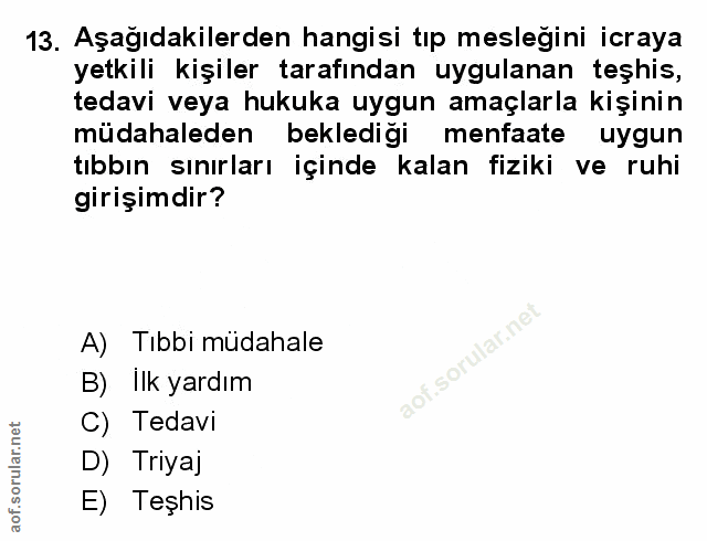 Soru 13