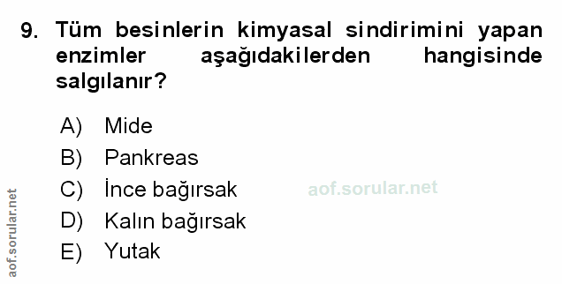 Soru 9
