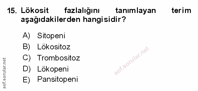 Soru 15