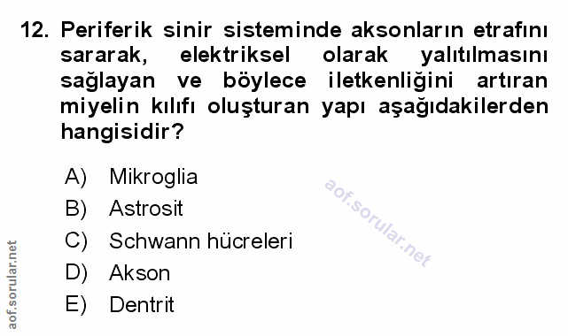 Soru 12