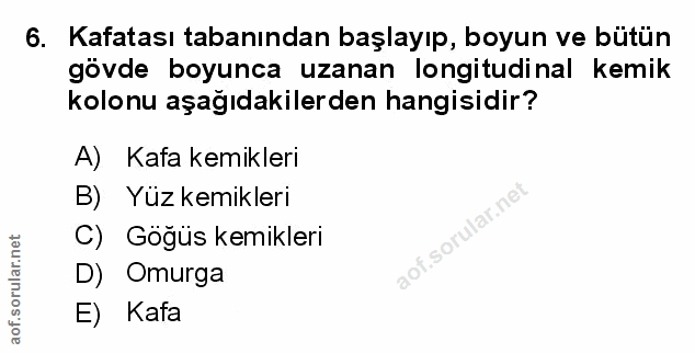 Soru 6
