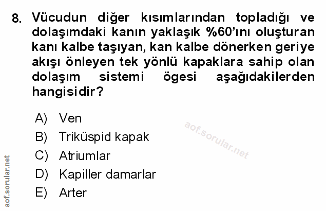 Soru 8