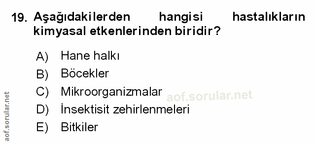 Soru 19