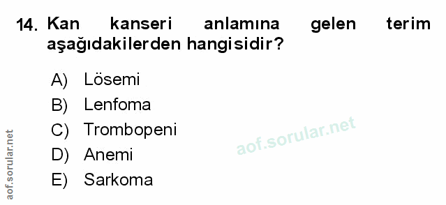 Soru 14